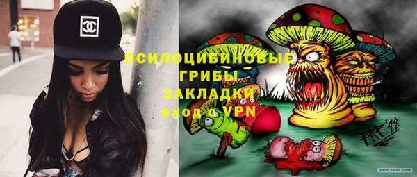 a pvp Михайлов