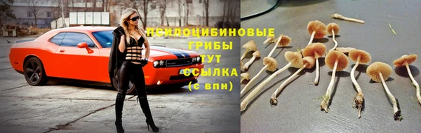 a pvp Михайлов