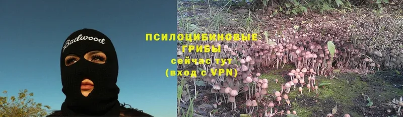 ОМГ ОМГ ССЫЛКА  Воткинск  Галлюциногенные грибы Cubensis 