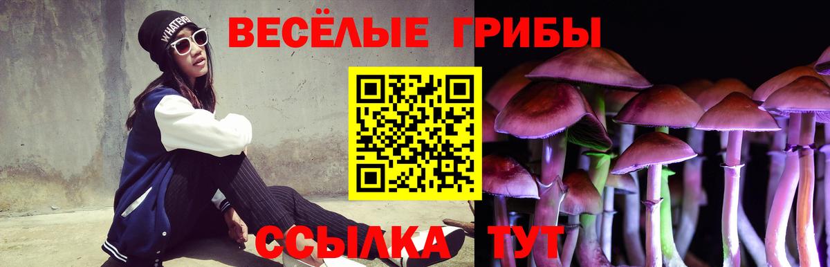 Воткинск  Псилоцибиновые грибы ЛСД  Галлюциногенные грибы GOLDEN TEACHER  Вход с VPN 